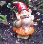 Every Garden Needs A Gnome